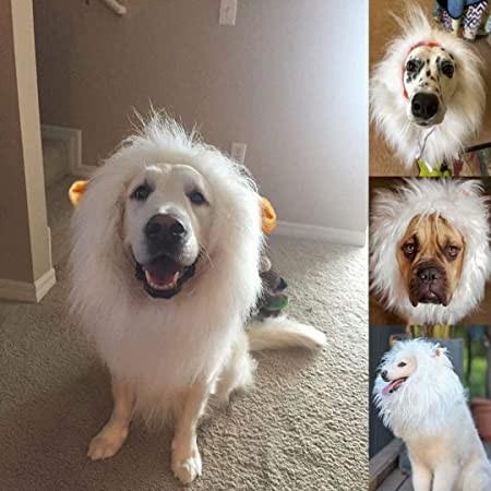 Dog Lion Wig Kostum Size Xl Wig Singa Untuk Kucing / Anjing Besar