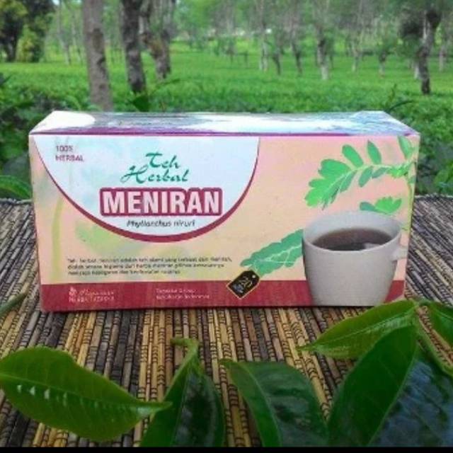 

Herbal meningkatkan daya tahan tubuh dengan teh meniran tazakka alami berkualitas