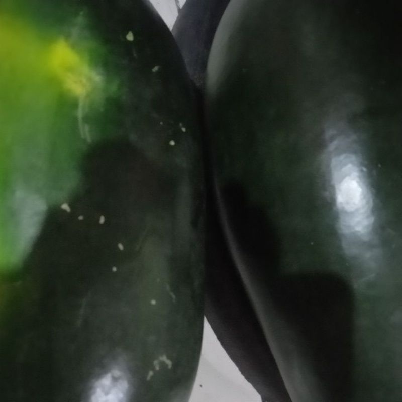 

SEMANGKAINUL