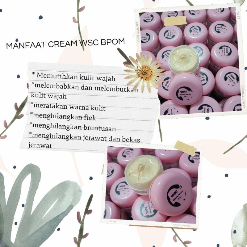 cream wsc 2in1 bpom original siang malam mencerahkan