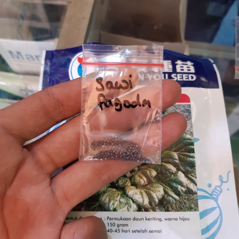 BENIH SAWI PAGODA KEMASAN EKONOMIS