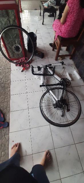  SEPEDA BALAP ROADBIKE 700C CELCIUS LUXE NEW  Shopee Indonesia