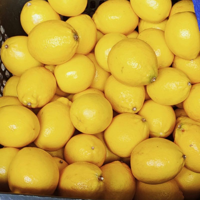 

lemon california