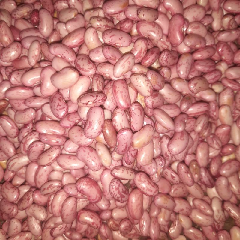 

kacang merah fresh 250 gram