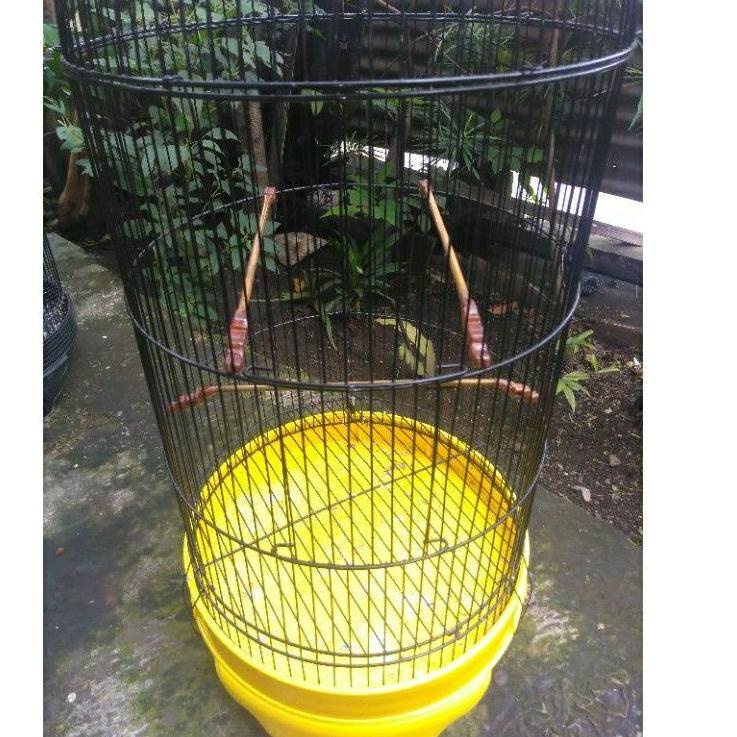 Oke Price.. tangkringan kolibri/konin sangkar LB