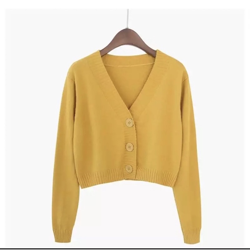 Rajutan Crop Cardigan Wanita Pendek Korea Lengan Panjang Leher V Neck