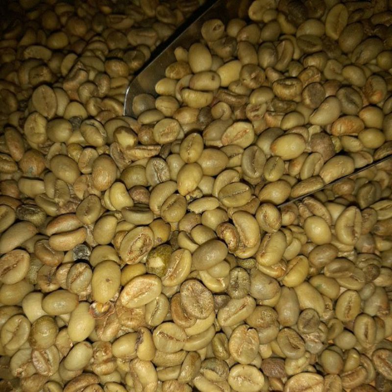 

Green Bean Robusta Argo (Biji Kopi Mentah Asalan)