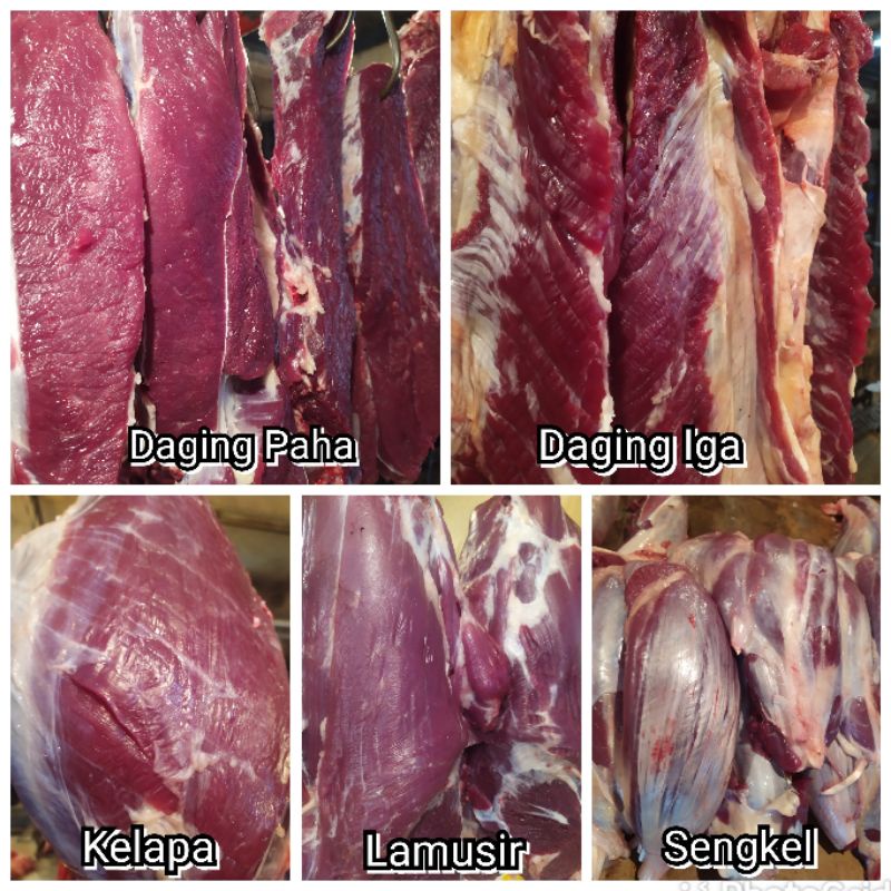 

Daging Sapi Segar Lokal Bagian Paha Lamusir Sengkel Iga Sirloin