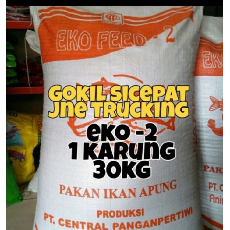 pelet murah eko 2 1 karung 30kg pelet lele pakan lele pelet nila pakan nila pelet patin pakan patin 