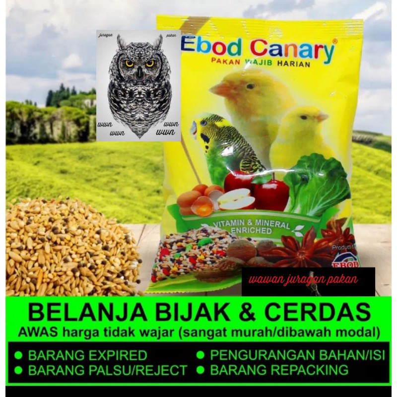 pakan kenari, Ebod canary