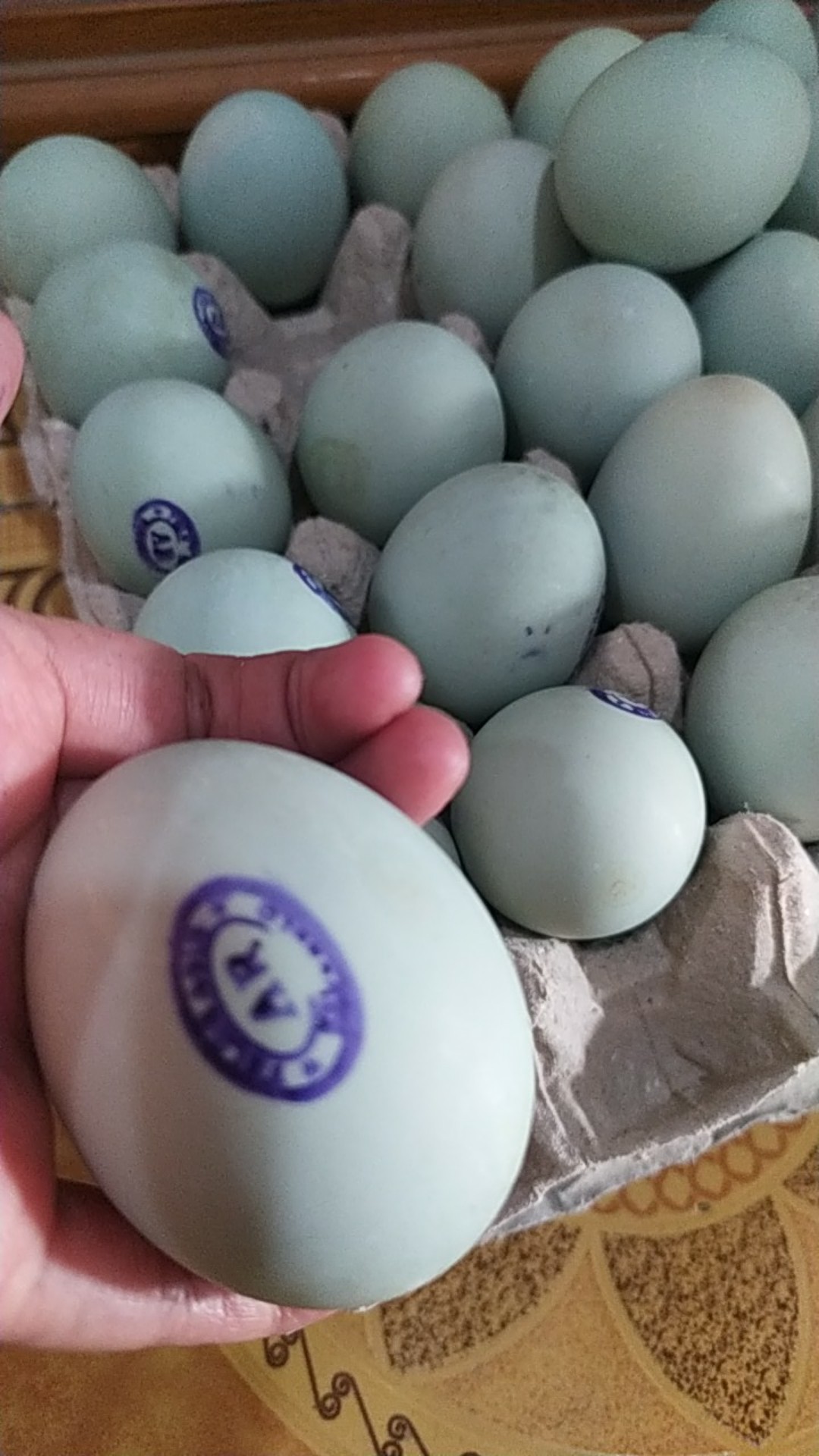 Mika Telur Tanpa Pengunci 50 Pcs Isi 10 Telur / Mika Telor / Tempat Telor
