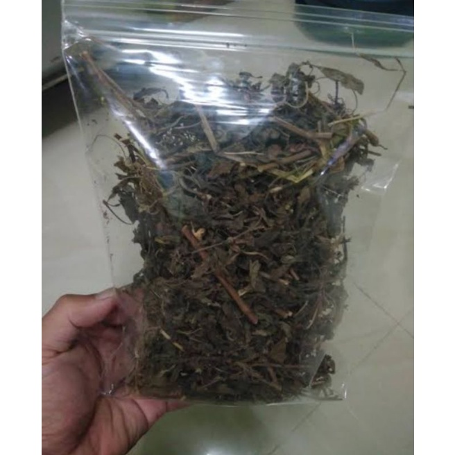 

Daun Kumis Kucing kering