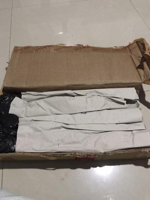 Anggrek Dendrobium Seddling Murah