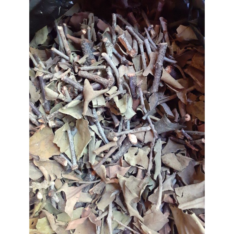 

bemalu alpukat kering 500gr