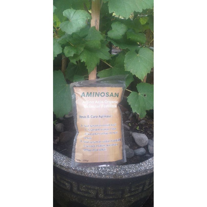 Pupuk Organik Aminosan 250gram Pupuk Anggur
