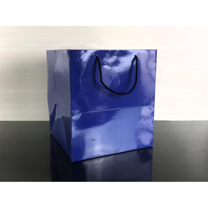 

(TERLARIS) Craft Duplex cm 25 28 15 25 & Uk. Paperbag x x