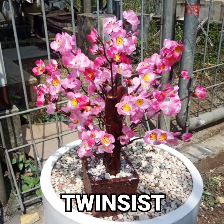 Pohon Sakura Plastik Artificial Palsu Tinggi 30 cm/Bunga Hias Plastik/Dekoras Meja/Bonsai Imlek