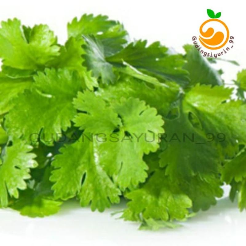 

Daun ketumbar / Daun wansuy 250 gram