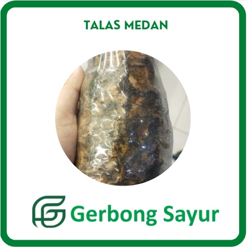 

Talas Medan Segar - 1 Kg