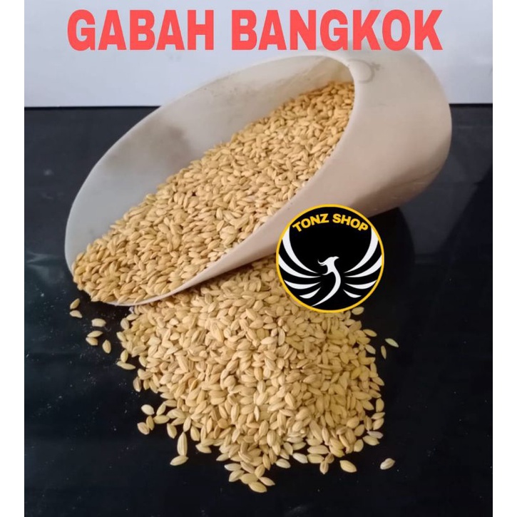 GABAH BANGKOK/GABAH LAMPUNG/PADI KECIL PAKAN MAKANAN BURUNG, LOVEBIRD,AYAM DLL REPACK 1KG