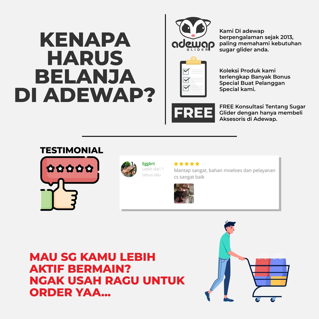 ADEWAP GLIDER Paket Hemat 1! Kandang Komplit Fullset Ukuran Large Besar Sugar Glider
