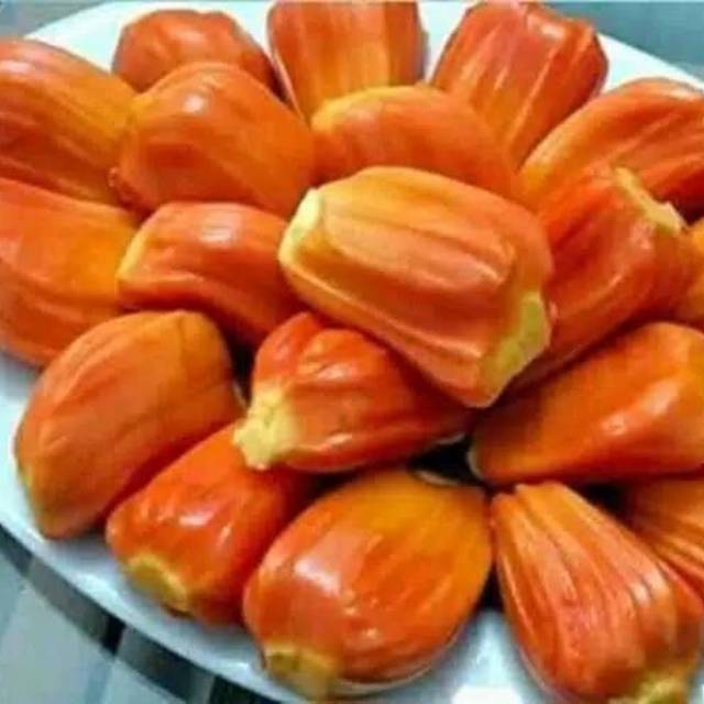 Bibit Nangka Merah dan Bibit Nangka Madu