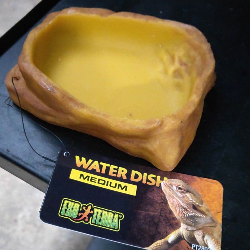 water dish medium