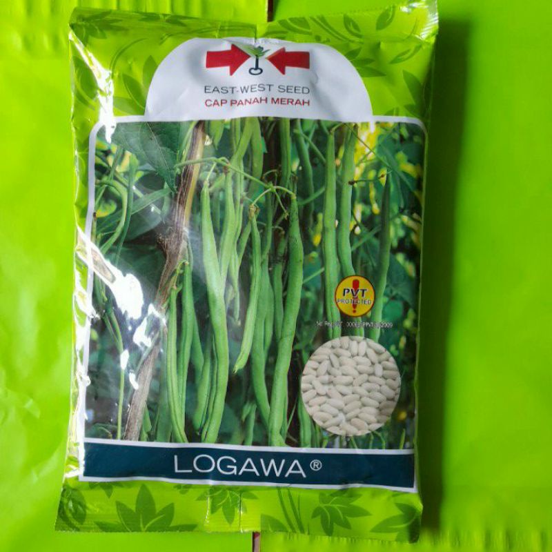 Benih buncis LOGAWA kemasan 500 gram