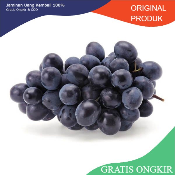 

Bibit anggur Autumn Royal Seedless