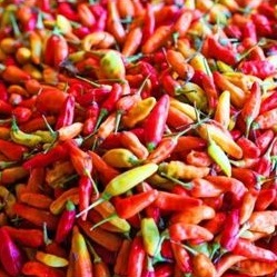 

Cabe / Cabai Rawit Merah