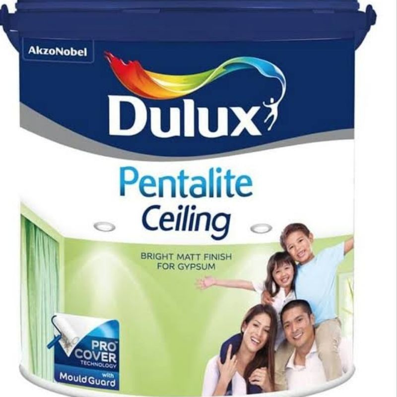 Dulux Pentalite Ceiling