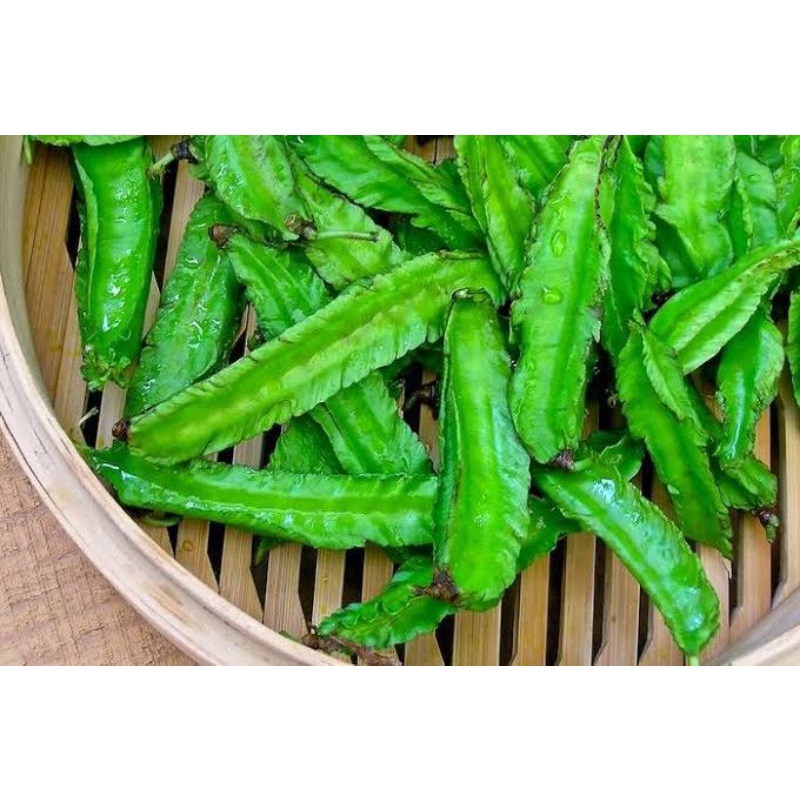 

KECIPIR [250gr]
