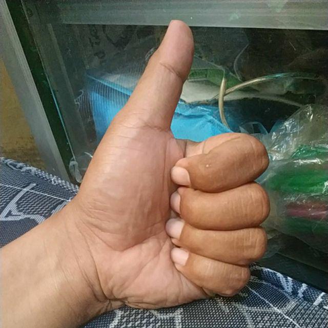 Wipro H1609 Obeng Bolak Balik / Obeng 2 Way