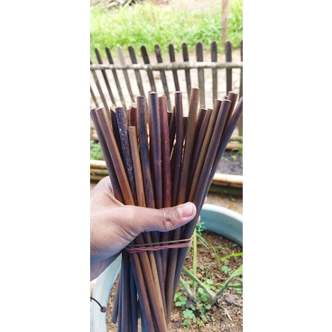 

paket 10 pena handam dan dua tinta khat kaligrafi | paku handam | paku andam kaligrafi | paket 10 handam dan 2 tinta | super murah paket murah kaligrafi| alat tulis kaligrafi