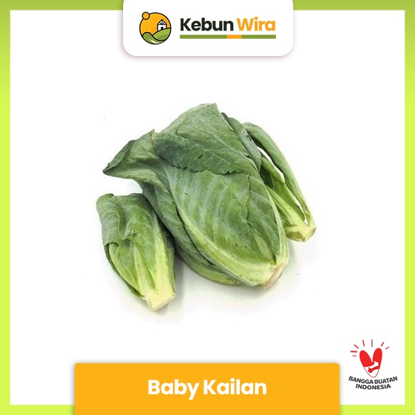 

Kailan Baby