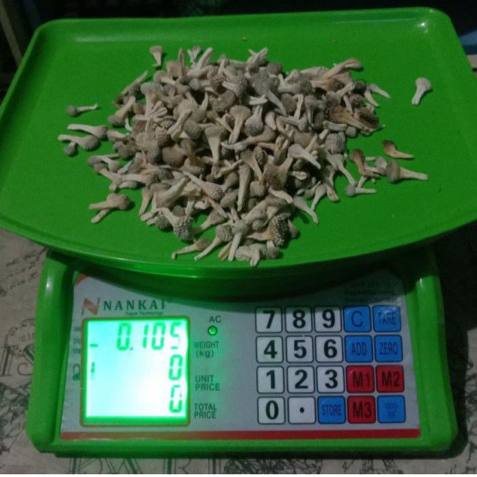 

Empot Putih 100gr ori asli 100%