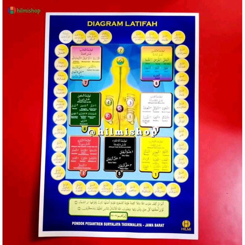 

Diagram Latifah Kecil