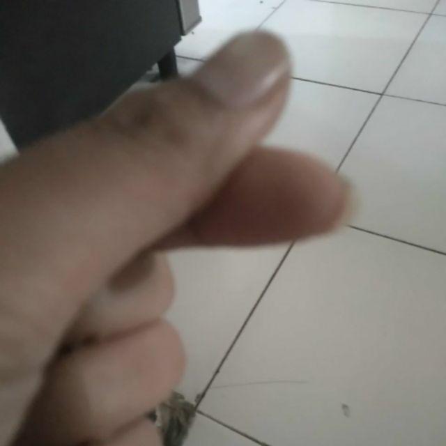 6 Pcs Lunch Box Yokohama/ Kotak Makan Katering/ Lunch Box Clio