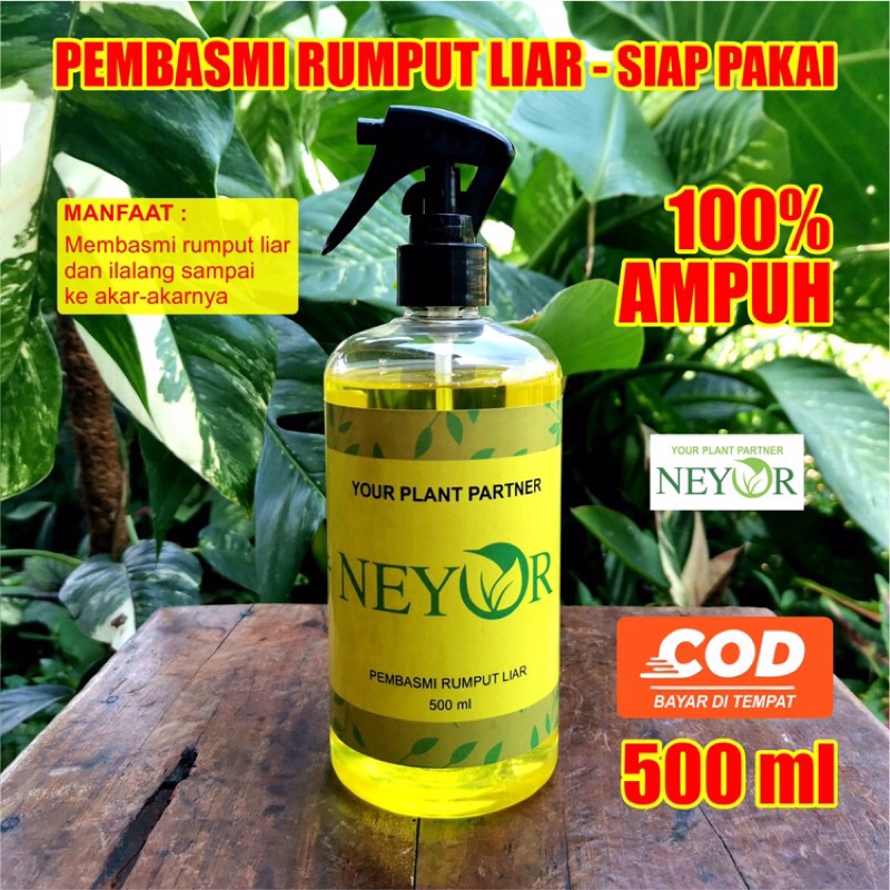 NEYOR - RACUN RUMPUT LIAR PALING AMPUH // PEMBASMI RUMPUT LIAR 500ml