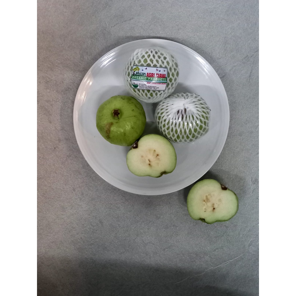 

Jammbu crystal -+ 900 - 950 gr