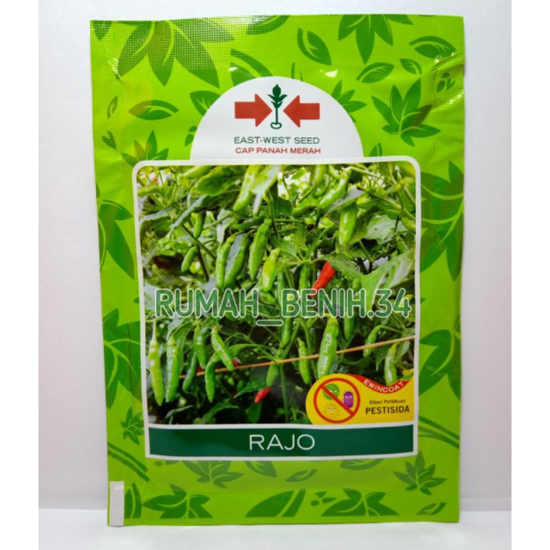 Benih Cabe Rajo (Rawit Hijau) 2250 Butir @Cap Panah Merah