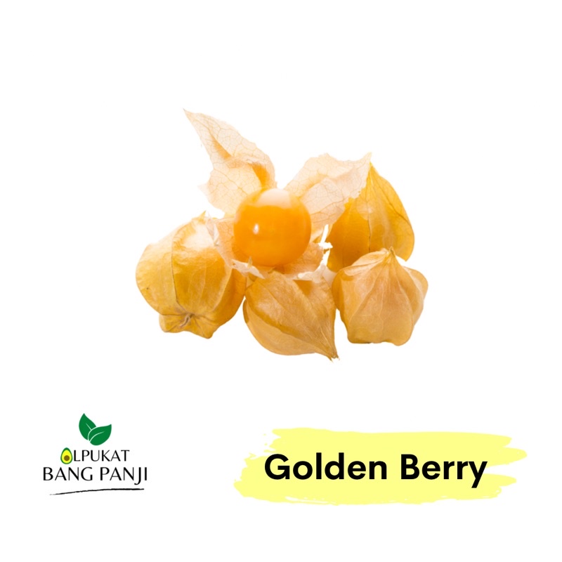 

ALPUKAT BANG PANJI - Ciplukan / Golden Berry