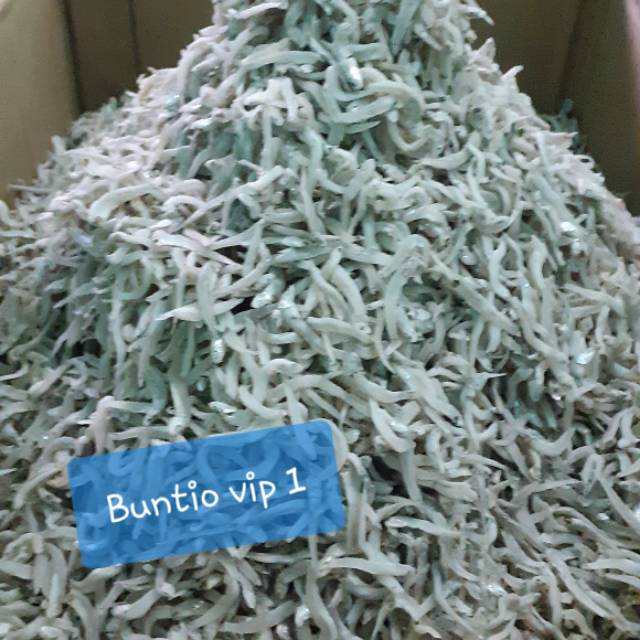 

Ikan tri buntio vip1 250 gram