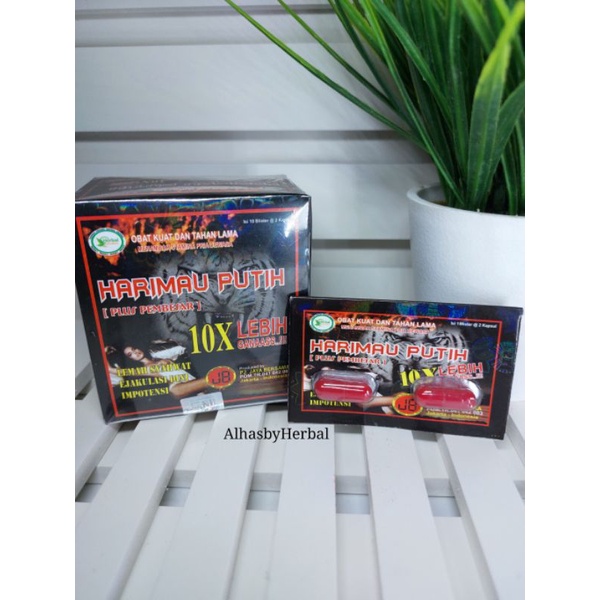 KAPSUL HARIMAU PUTIH 10X LEBIH GANAS (1 box isi 10 sachet x 2 kapsul)