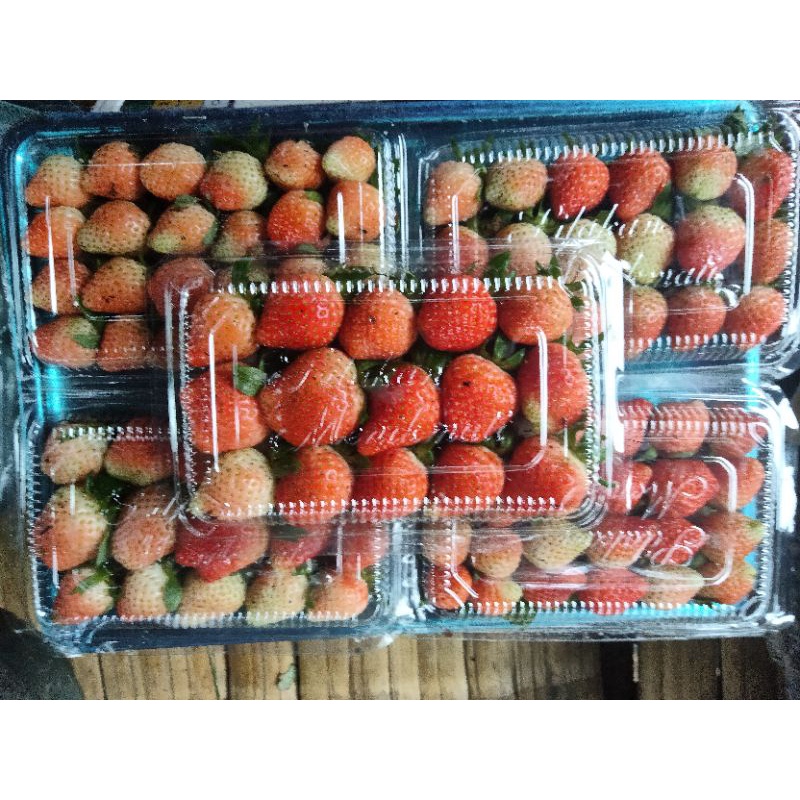 

Buah strawberry Fresh langsung dari kebun