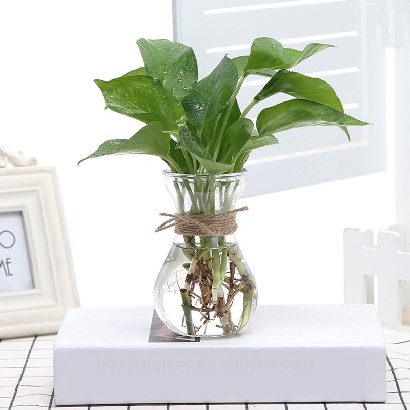 VAS CARAFE 500ml | VAS KACA BENING | VAS KACA | VAS MUNGIL | VAS TANAMAN HIAS | VAS TANAMAN HIDROPON