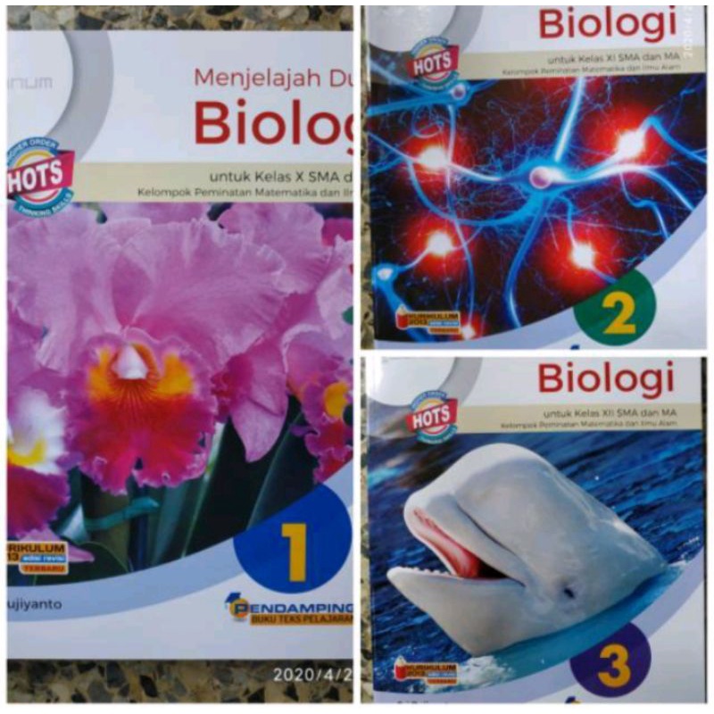 

Biologi SMA kelas 10 11 12 kurikulum 2013 Revisi HOTS