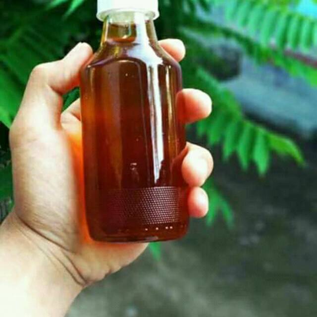 

madu hutan asli
