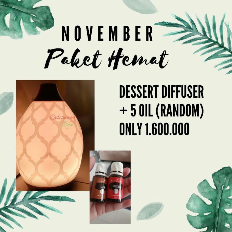 diffuser dessert mist + 5 oil random young living