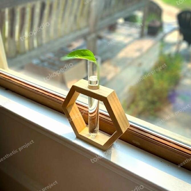 vas tanaman air / vas tabung kaca / vas tube tanaman minimalis